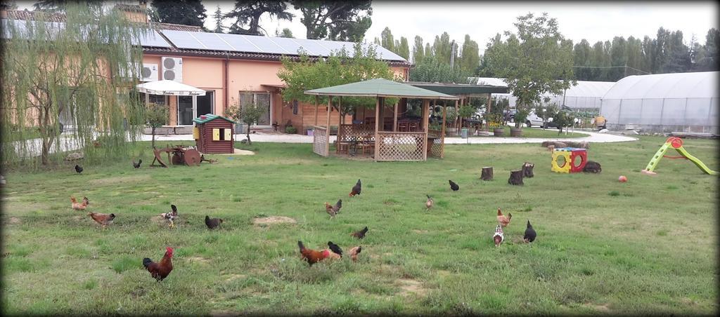 Agriturismo Perugini Bed & Breakfast Cesena Ngoại thất bức ảnh